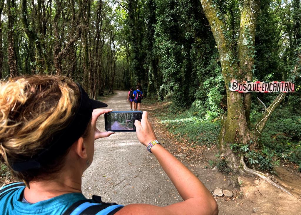 El bosque encantado doblemente retratado.