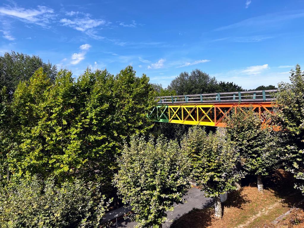El ferrocarril.