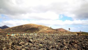 Camellos volviendo a Uga por el entorno del Lomo del Cura después del día en Timanfaya. Fotografía: Josechu Pérez Niz.