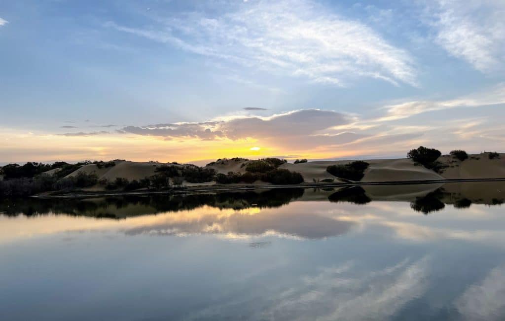 Oasis de Maspalomas al amanecer. Fotografía: Josechu Pérez Niz.