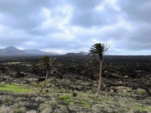 Senderismo volcánico en Lanzarote. Circular a la Montaña Los Rostros. Fotografía: Josechu Pérez Niz. 