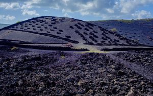 Cenizas volcánicas, socos de malpaís, vid. Fotografía: Ramón Pérez Niz.