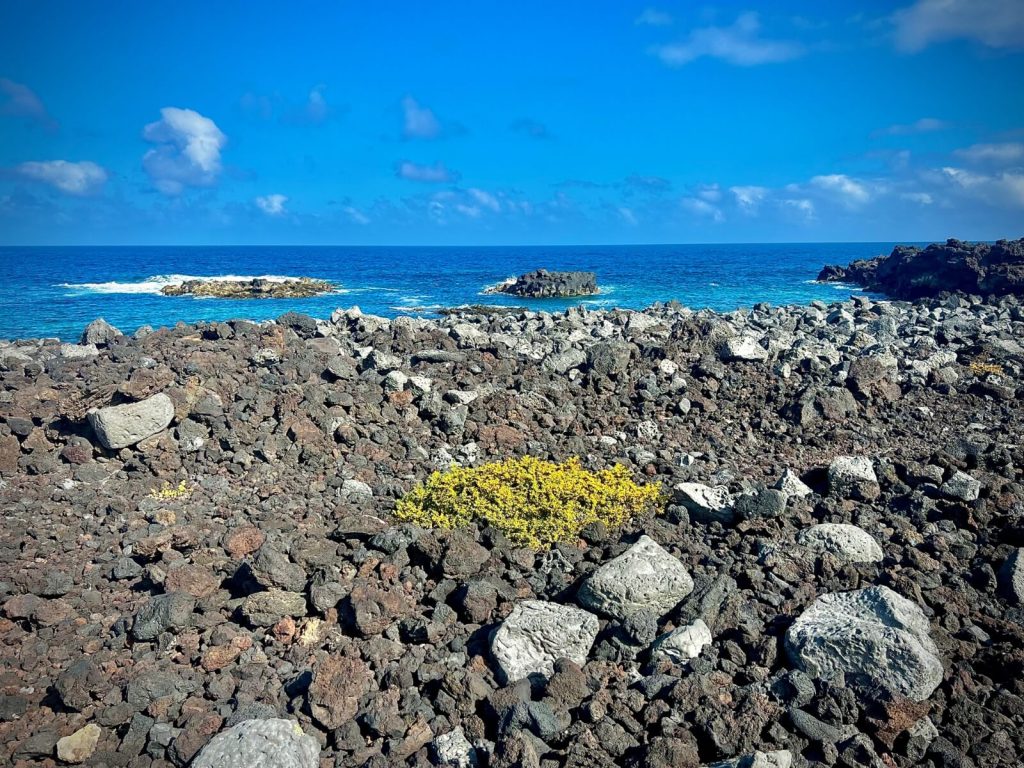 Zona costera actual de lavas y azul atlántico al Oeste de los volcanes del Siglo XVIII. Fotografía: Lanzarote3.com