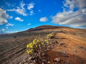 Lanzarote, la isla de Lanzaroto Malocello. Fotografía: Josechu Pérez Niz.