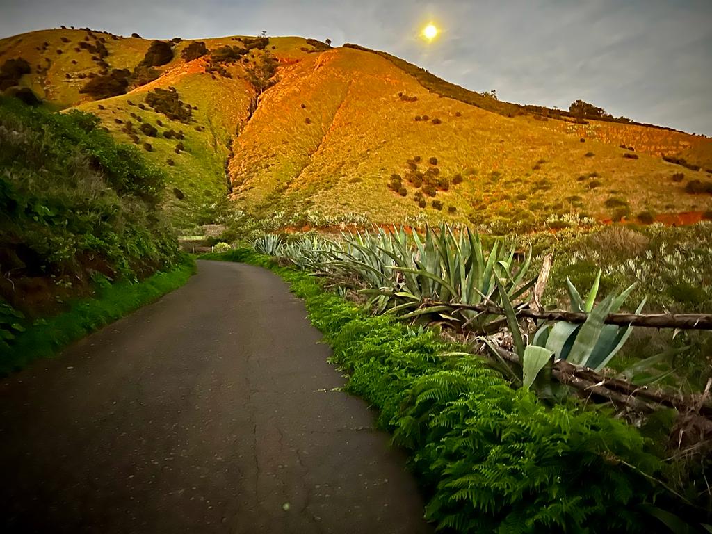 Saliendo de Valverde hacia la naturaleza salvaje de El Hierro.