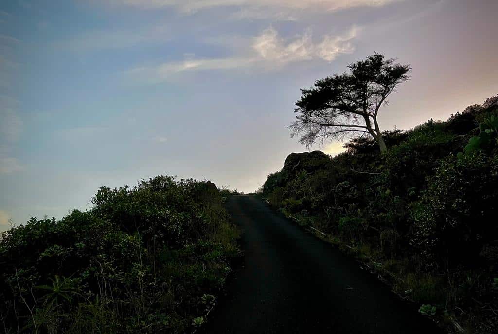 Camino Natural El Hierro Etapa 1 Tamaduste Valverde Fotografía Josechu Pérez Niz