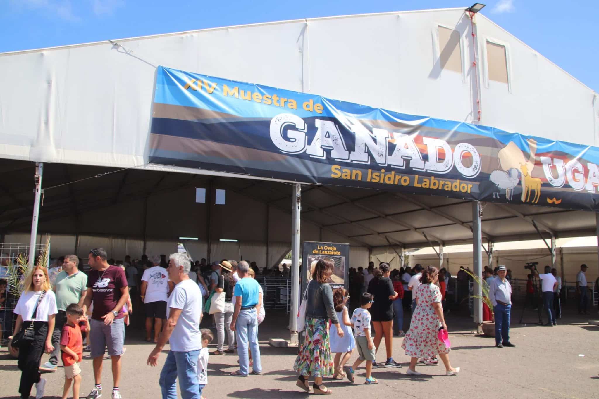 XV Muestra de Ganado de Uga en Lanzarote.