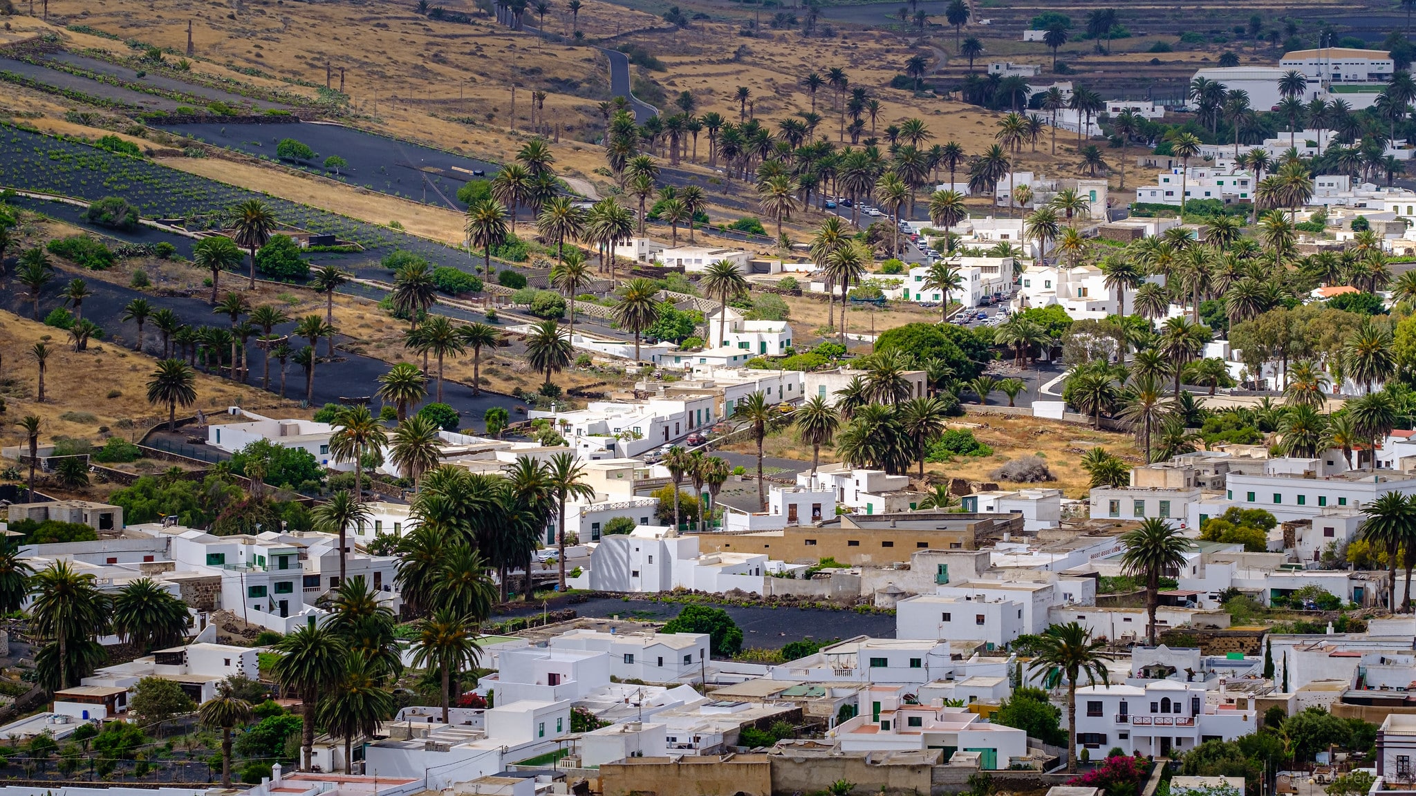 Haría, el valle de las mil palmeras de Lanzarote.