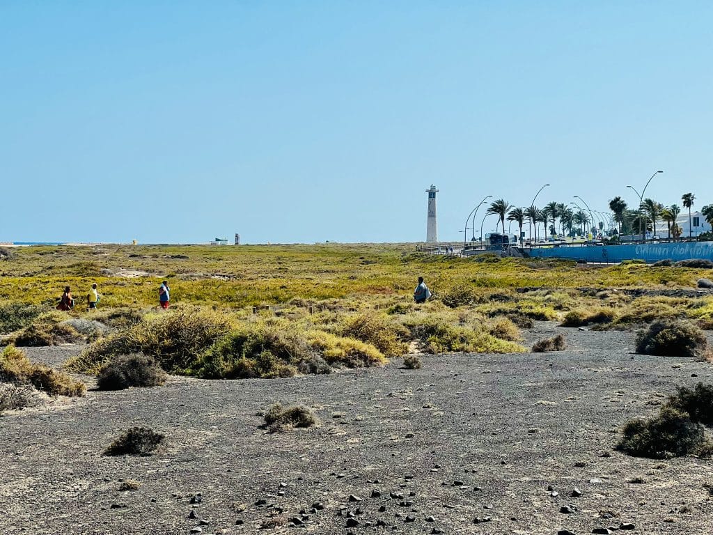 El matorral y el Faro de Morro Jable. Fotografía: Lanzarote3.com