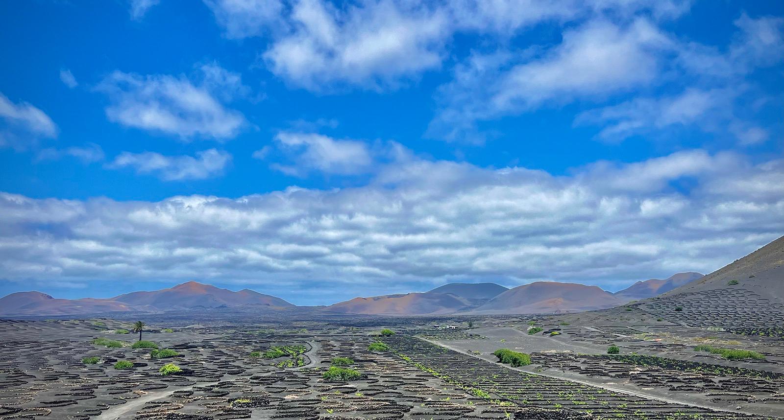 Viñedos de La Geria y Timanfaya. Fotografía: Lanzarote3.com.