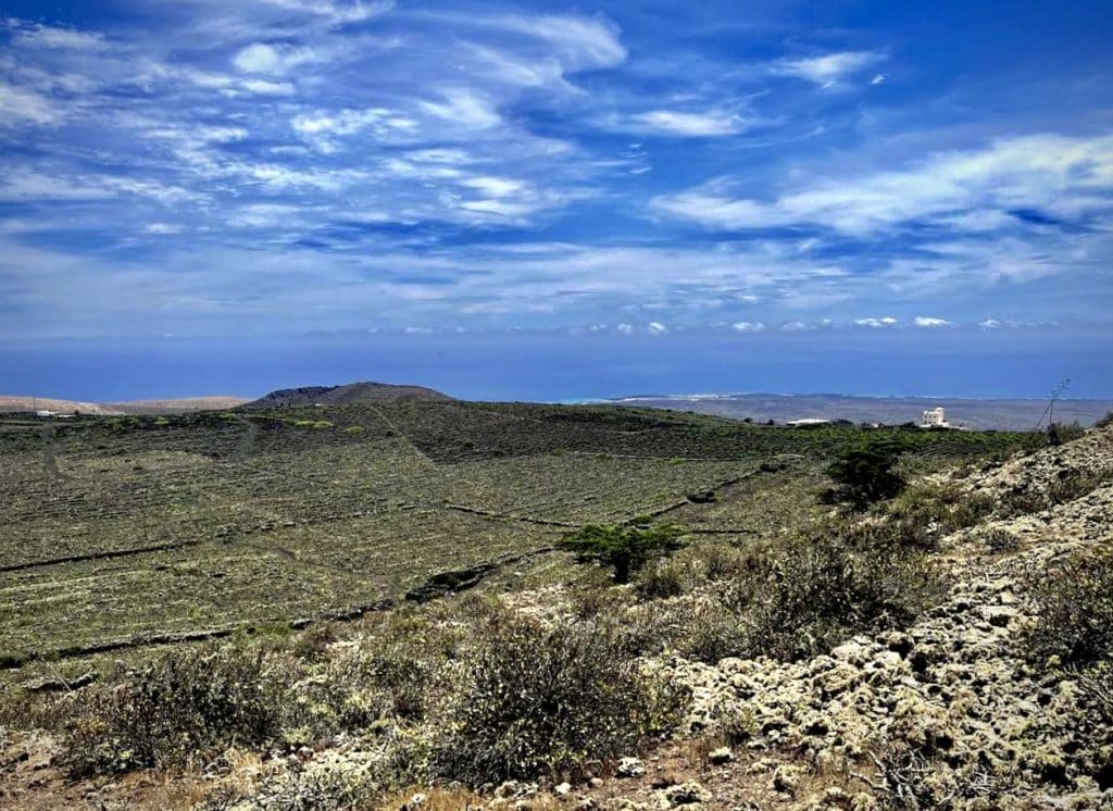 La superficie todavía cultivada en torno a la Torrecilla desde el Volcán de la Corona. Fotografía: Lanzarote3.com