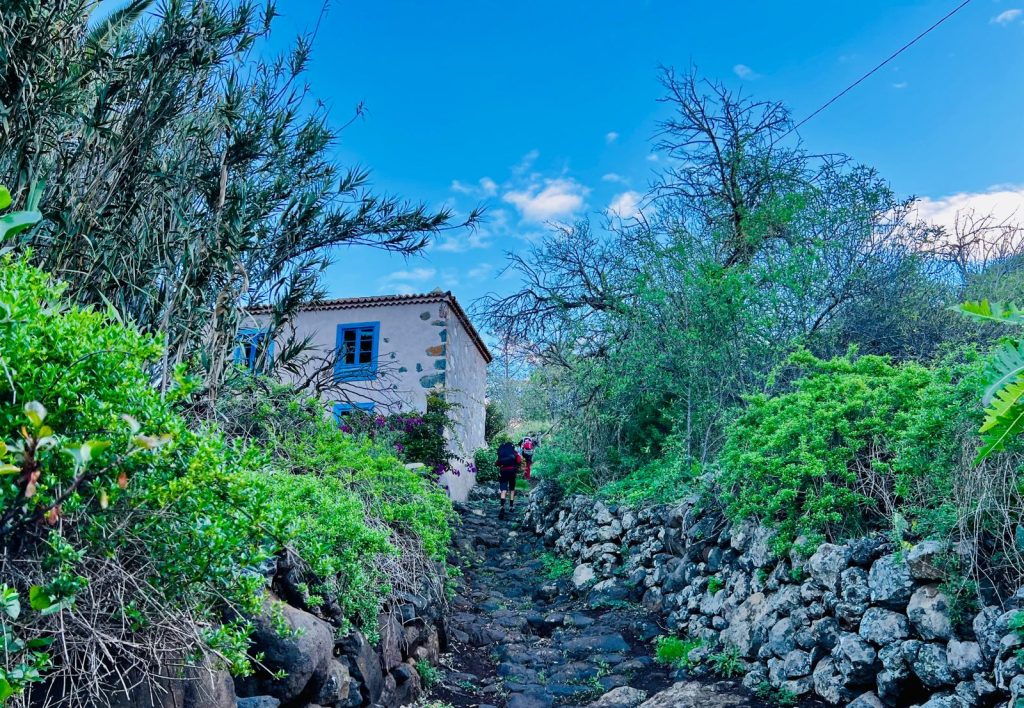 Siempre cuesta arriba. Pinos, vegetación, caserones en lindes imposibles