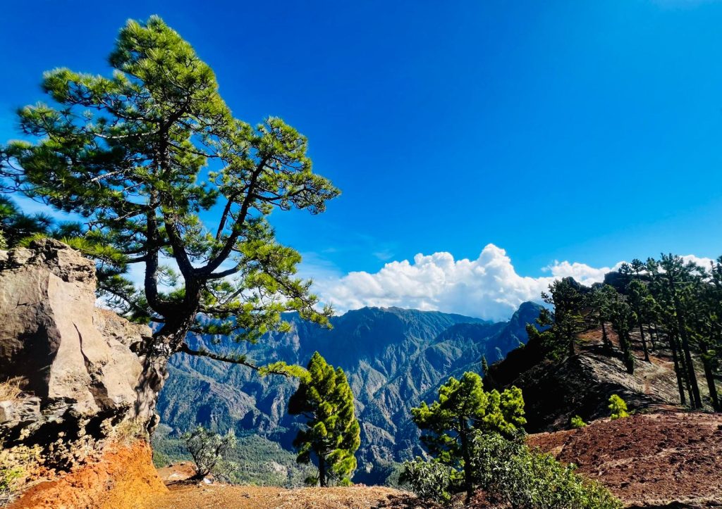 Acantilados bestiales por el Risco de las Pareditas