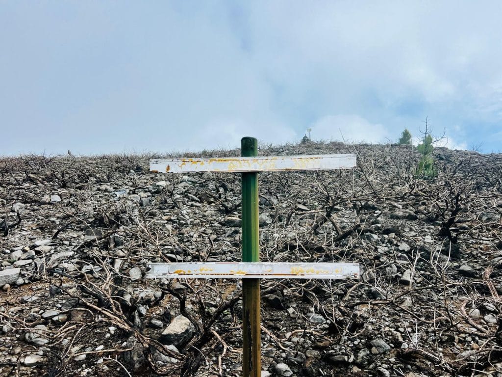 La zona de los pinos gachos que recibe este nombre por la afección de los incendios