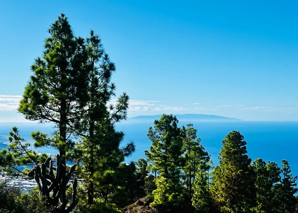 Pinos, el Océano Atlántico y La Gomera