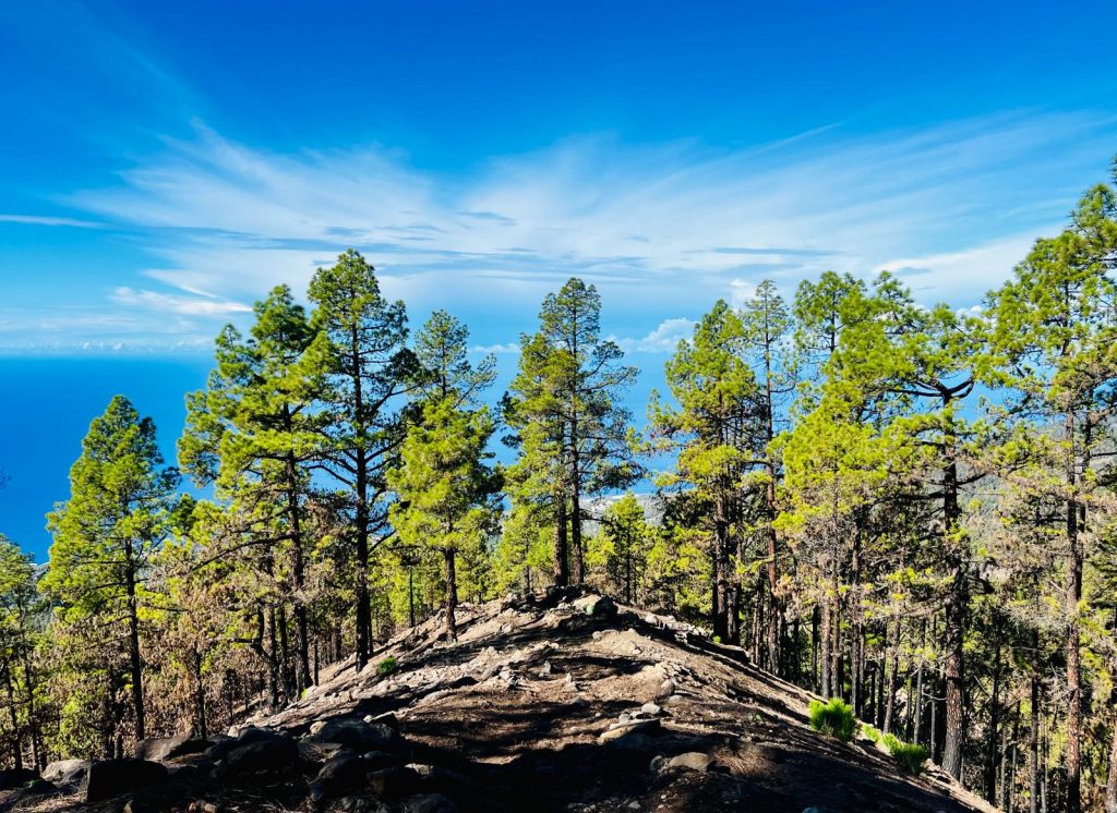 Entorno próximo a la Torre del Time. Dan ganas de echarse una siestita...