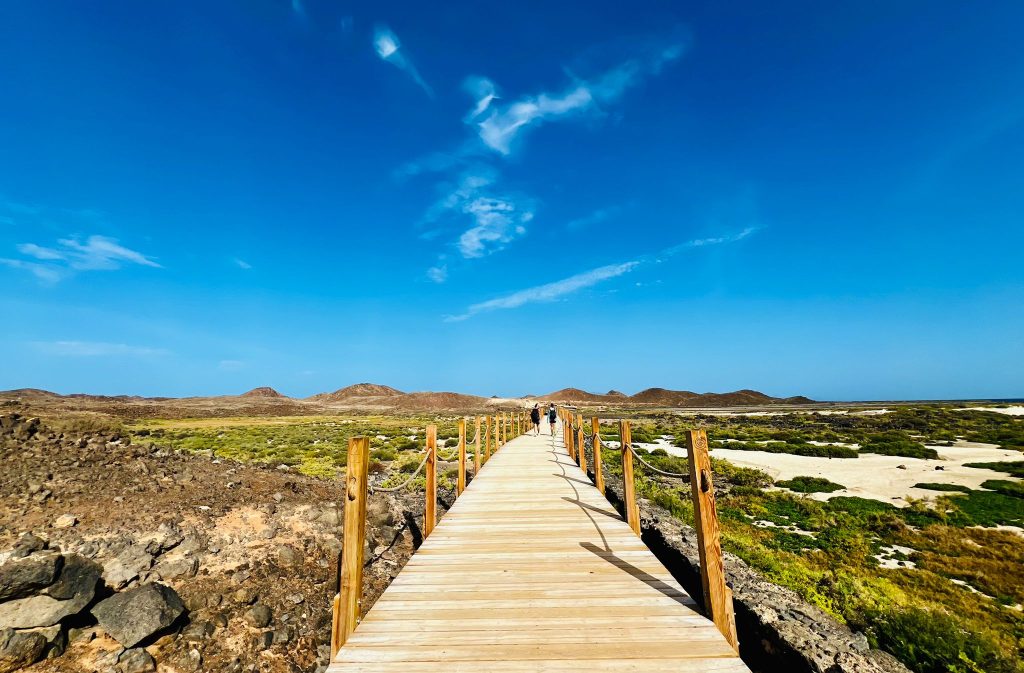 Las Lagunitas, el increíble saladar de Isla de Lobos. Fotografía: Lanzarote3.com