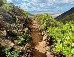 Así vivimos el descenso de las Peñas del Chache a Famara a través del Barranco de la Paja