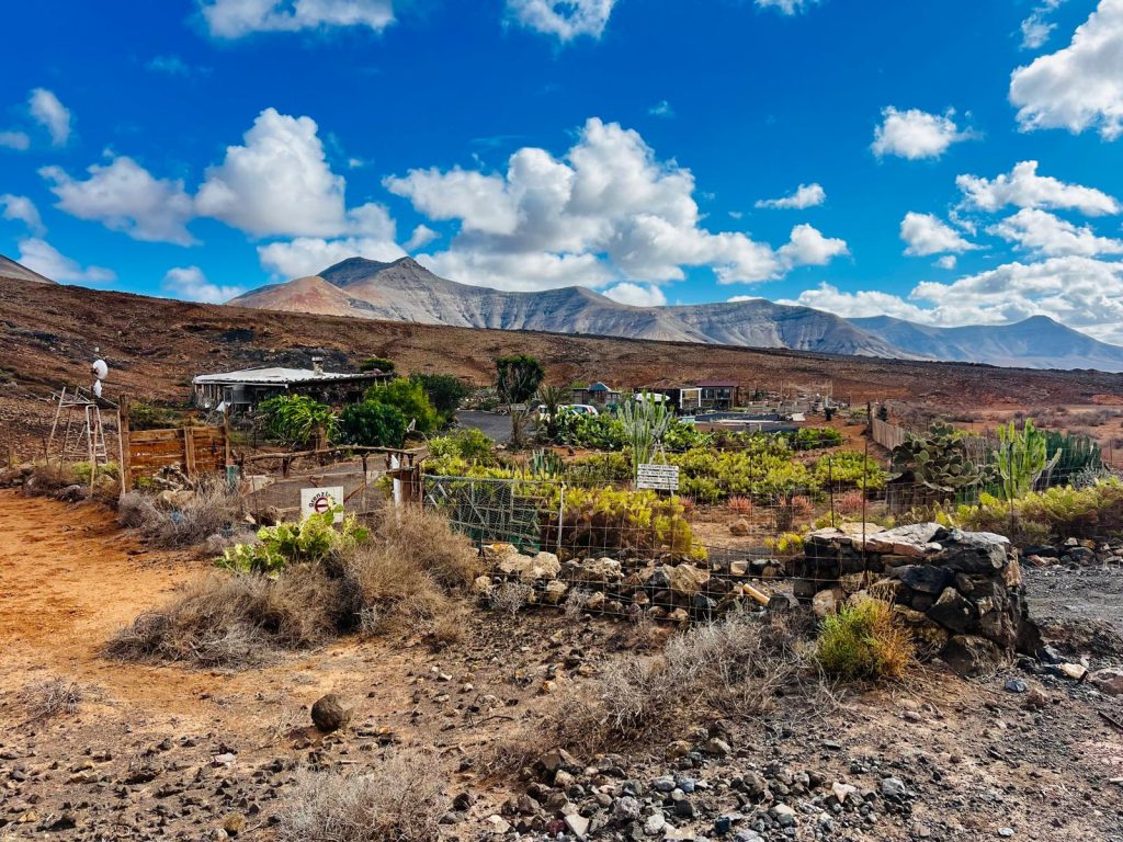 Galería de arte en la antesala del Paisaje Protegido de Vallebrón. Fotografía: Lanzarote3.com
