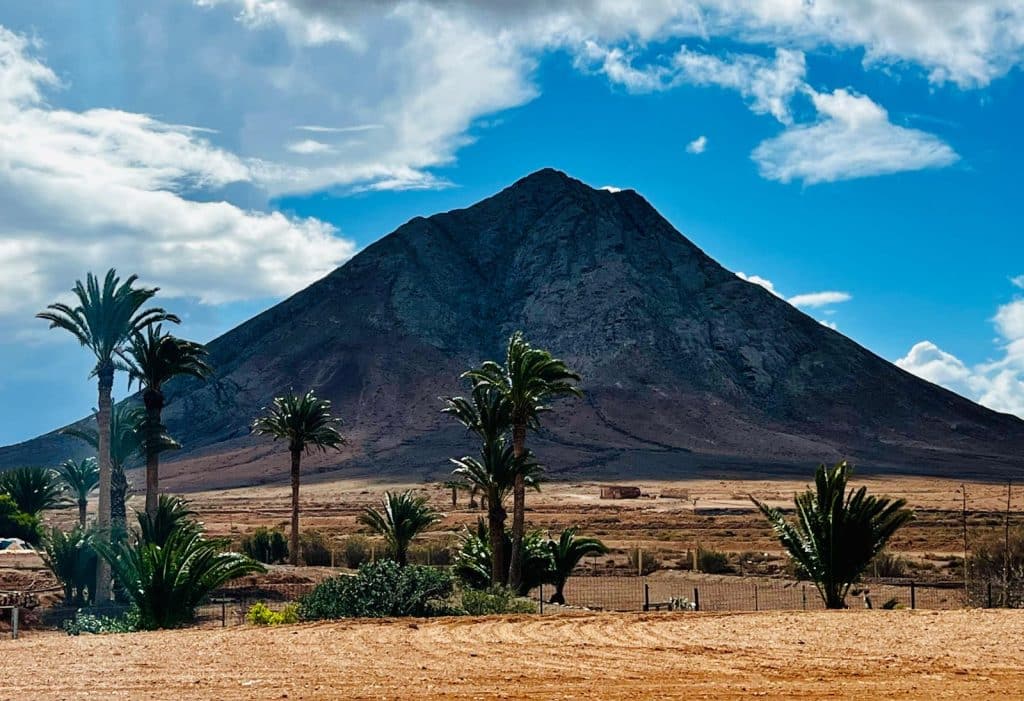 Palmeral en el valle de Tindaya. GR 131 de Fuerteventura, etapa 3 entre La Oliva y Tefía